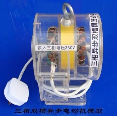 三相异步双槽鼠笼式电动机模型