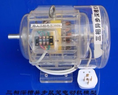 三相异步深槽鼠笼式电动机模型